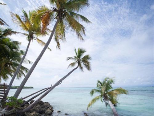 Coco Beach Marie-Galante Grand-Bourg  Exterior photo
